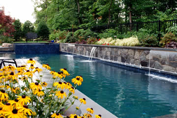 Pools w/ Hardscape